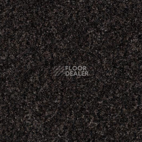 Грязезащитные покрытия Forbo Coral Brush 5715 Charcoal Grey фото 1 | FLOORDEALER